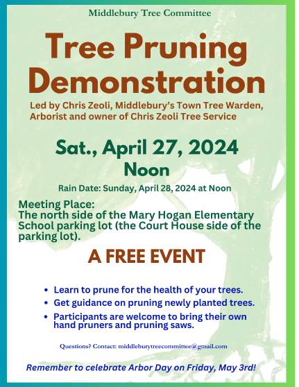 Pruning Demo Poster - Copy